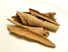 Cinnamomum loureiroi Saigon Cinnamon Cinnamomum loureiroi Saigon Cinnamon